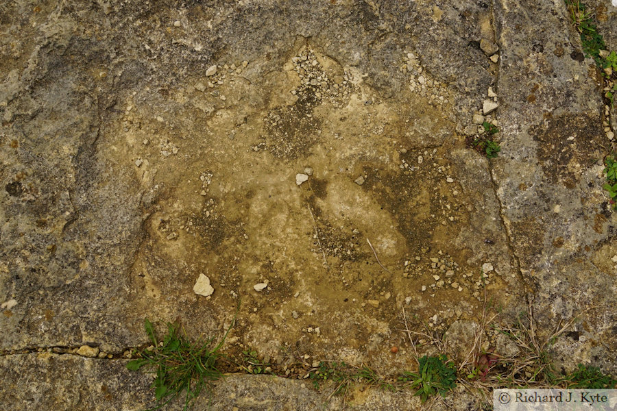 Dinosaur Footprint, Worth Matrevers, Isle of Purbeck, Dorset
