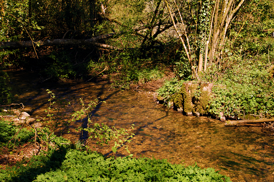 The River Eye, North of Upper Slaughter, Gloucestershire
