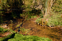Click to see expanded image