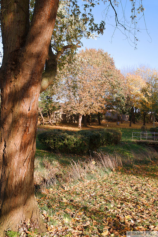 Autumn in Evesham, 2020