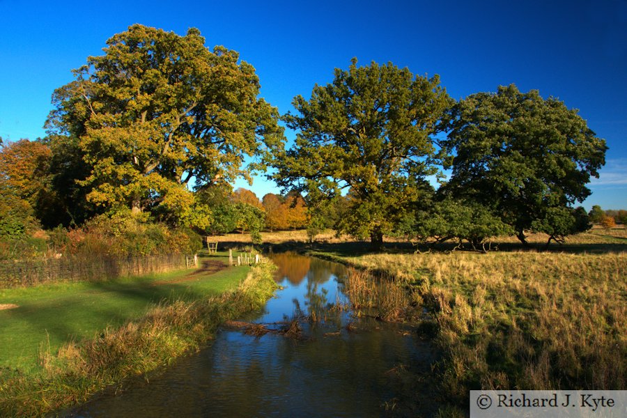 The River Dene looking east, Charlecote Park, Warwickshire
