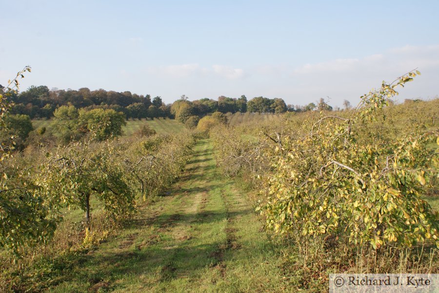 Orchards, Greenhill, Evesham, Worcestershire