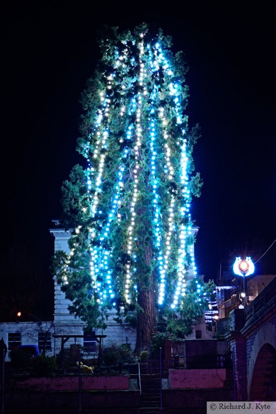 Tree of Light, Evesham, Worcestershire