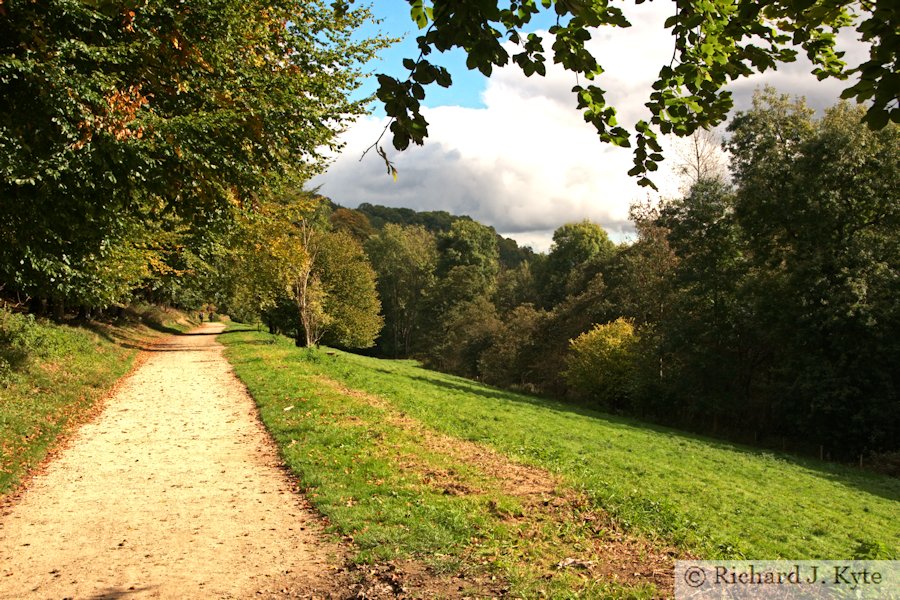 Woodchester Park, Gloucestershire