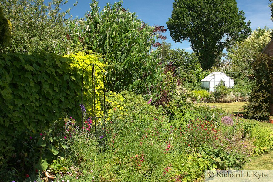 Garden 6 : "Yarningale", Eckington Flower Festival and Open Gardens 2017