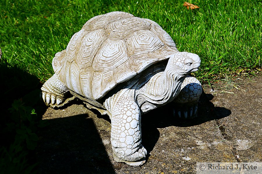 Ornamental Tortoise, Garden 20 : Bank House, Cropthorne Walkabout 2018