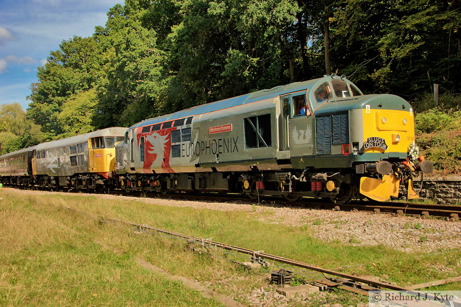 Europhoenix class 37 diesel no. 37901 "Mirrlees Pioneer" leads 31130 at Parkend, Dean Forest Railway Diesel Gala, Gloucestershire