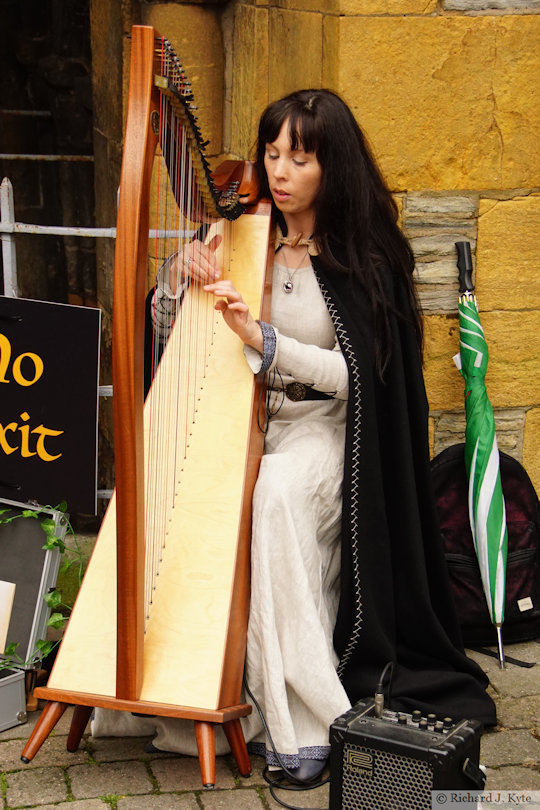 Harpist, Evesham, Medieval Market 2021
