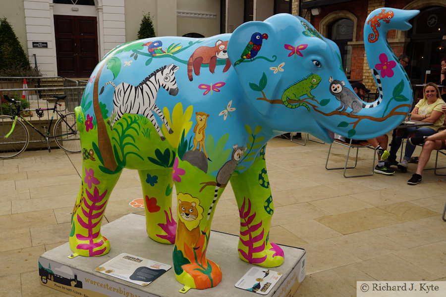 Elephant 11 : "Wild World", Worcester Big Parade 2021