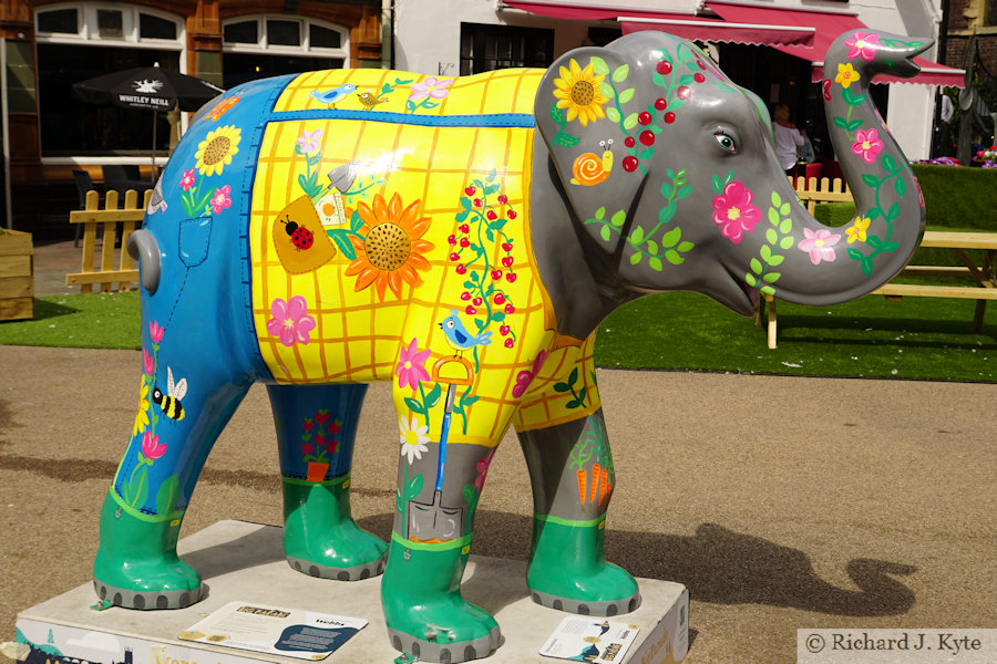 Elephant 16 :  "The Gardener", Worcester Big Parade 2021