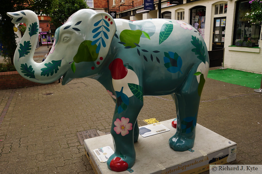 Elephant 19 : "Memories of Home", Worcester Big Parade 2021