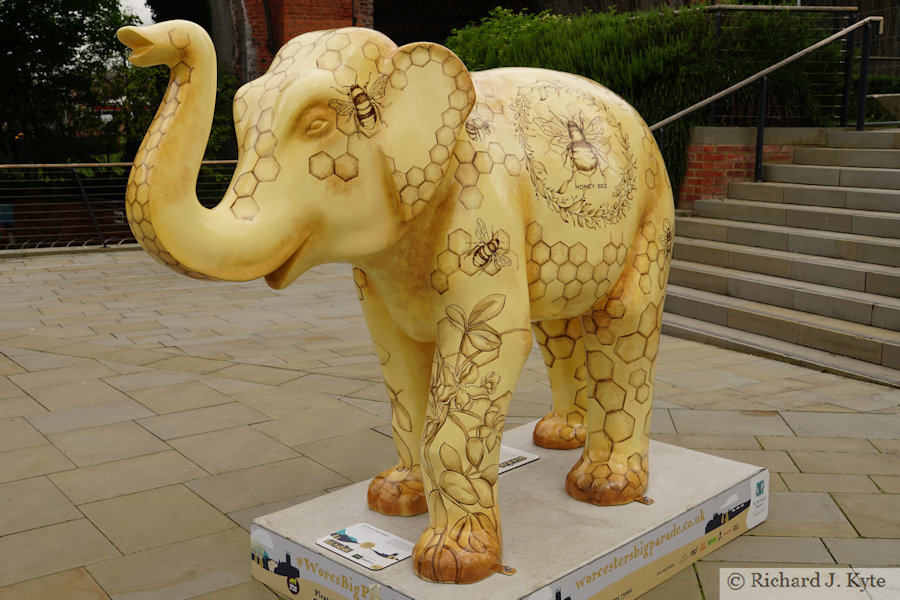 Elephant 23 : "Hive in the Herd", Worcester Big Parade 2021