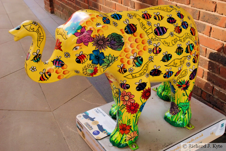 Elephant 33 : "What can I Bee?", Worcester's Big Parade 2021
