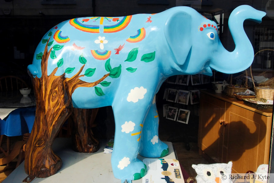 Elephant 63 : "Jayden", Worcester's Big Parade 2021