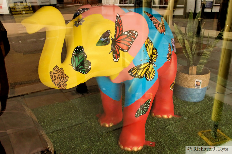 Elephant 66 : "A Gentle Strength", Worcester's Big Parade 2021