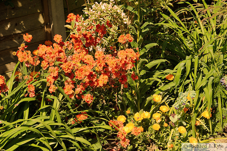 Flowerbed, Garden 29: "Malham House", Eckington Open Gardens and Flower Festival 2022 