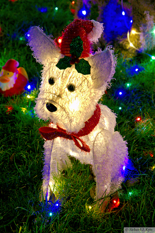 Dog Christmas Light, Rynal Place, Evesham, Worcestershire