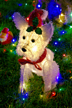 Click to see expanded image