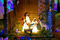 Nativity Scene, Christmas Lights, Rynal Place, Evesham Nativity Scene, Christmas Lights, Rynal Place, Evesham