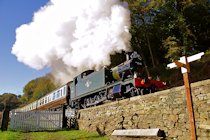 Dean Forest Railway Photographs