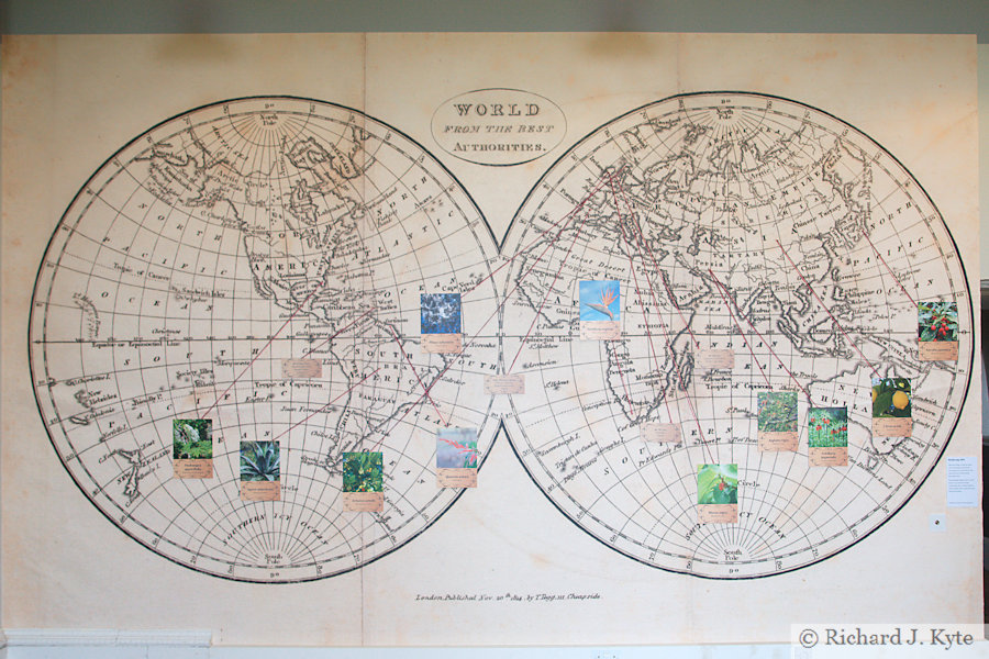 World Plant Map, The Library, Croome Court, Worcestershire