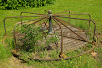 Click to see expanded image