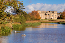 Click to see expanded image