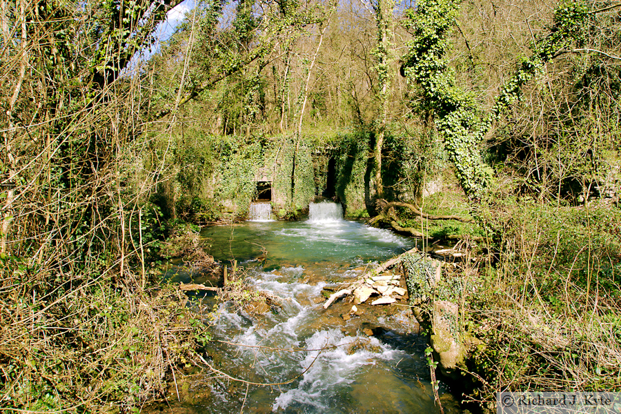 River Lyd, Norchard, Forest of Dean, Gloucestershire