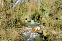 Click to see expanded image