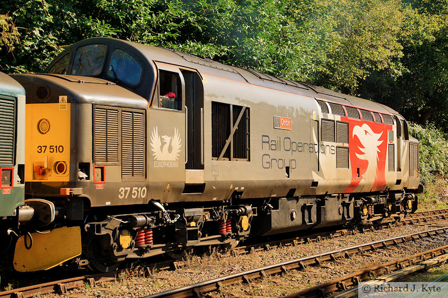 Rail Operations Group/Europhoenix class 37 Diesel no. 37510 "Orion" at  Parkend, Dean Forest Railway Diesel Gala 2024