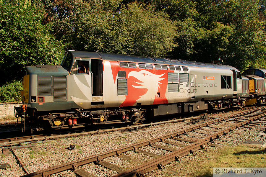 Rail Operations Group/Europhoenix Class 37 Diesel no. 37884 "Cepheus" at Parkend, Dean Forest Railway Diesel Gala 2024