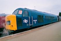 Click to see expanded image