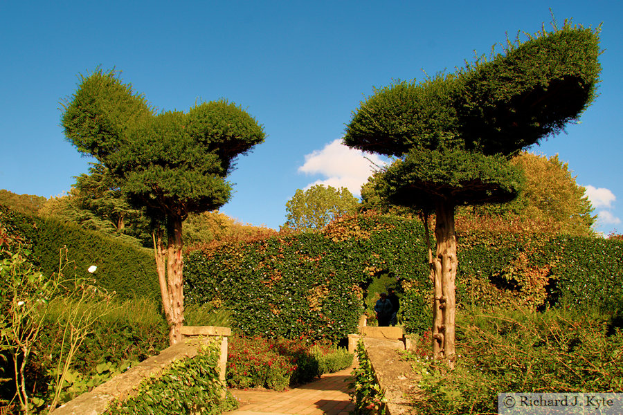 Topiary, Bathing Pool Garden, Hidcote Manor Garden, Gloucestershire
