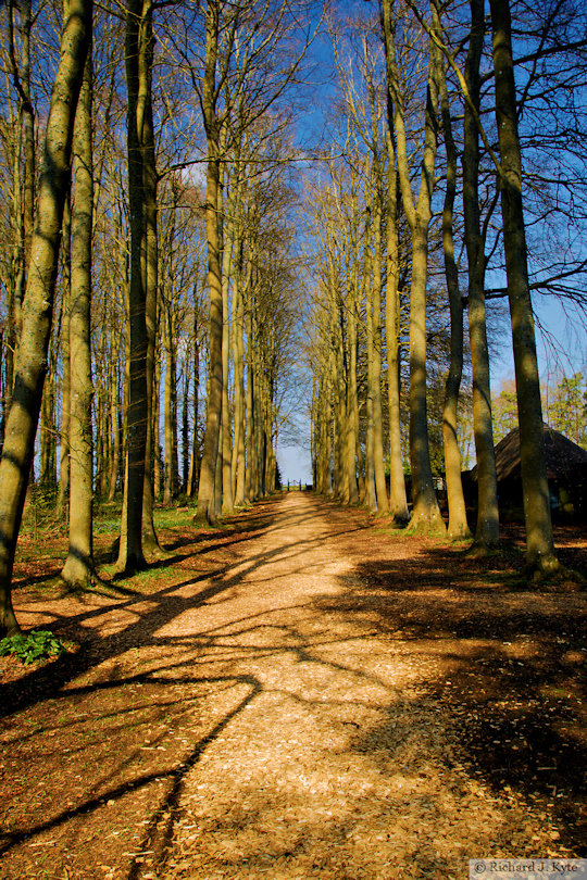 Beech Alley, Hidcote Manor Garden, Gloucestershire
