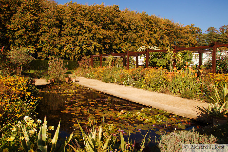 Lily Pond, Hidcote Manor Garden, Gloucestershire