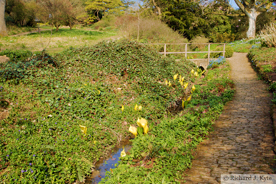 Lower Stream Garden, Hidcote Manor Garden, Gloucestershire