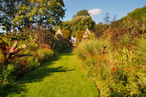 Click to see expanded image