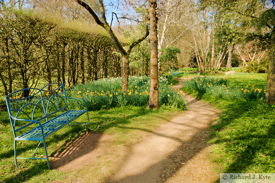 "The Wilderness", Hidcote Manor Garden, Gloucestershire