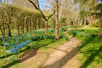 Click to see expanded image