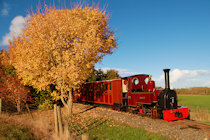 Click to see expanded image