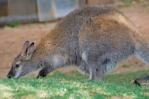 Click to see expanded image