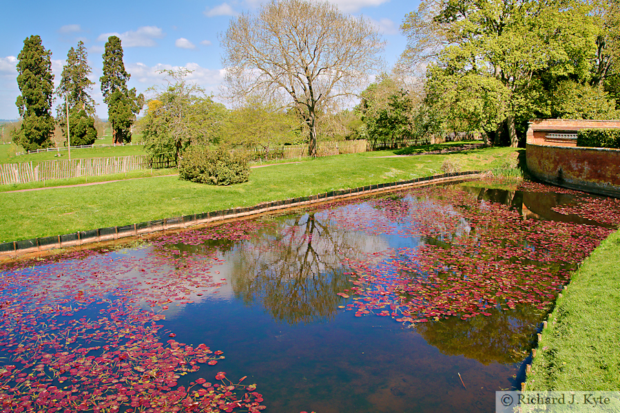 Pond, Hanbury Hall, Worcestershire