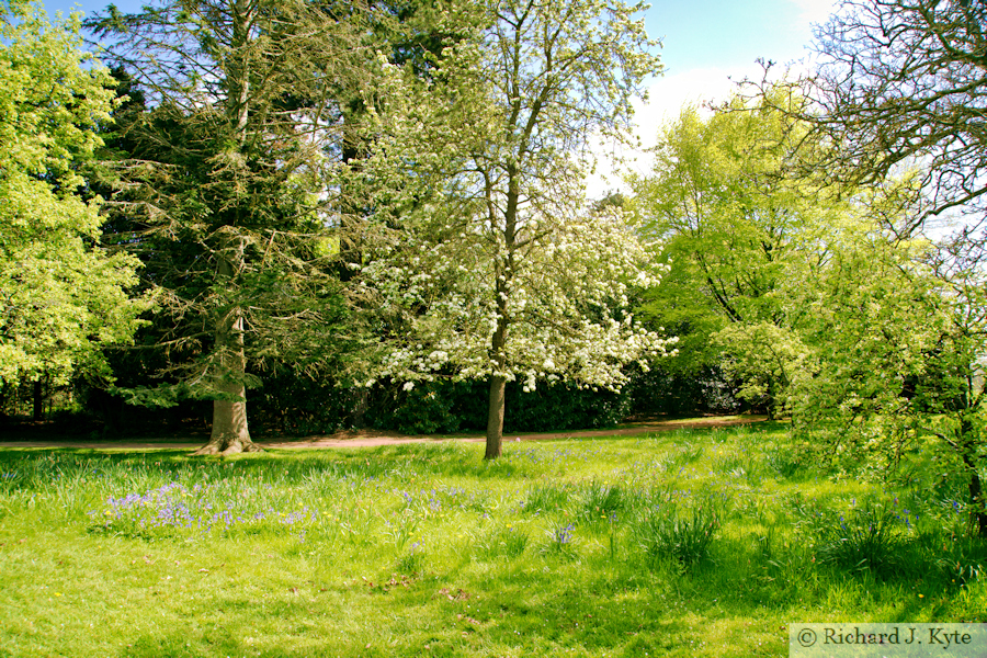 Kyte's Orchard, Hanbury Hall, Worcestershire