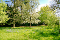 Click to see expanded image