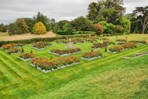 Click to see expanded image