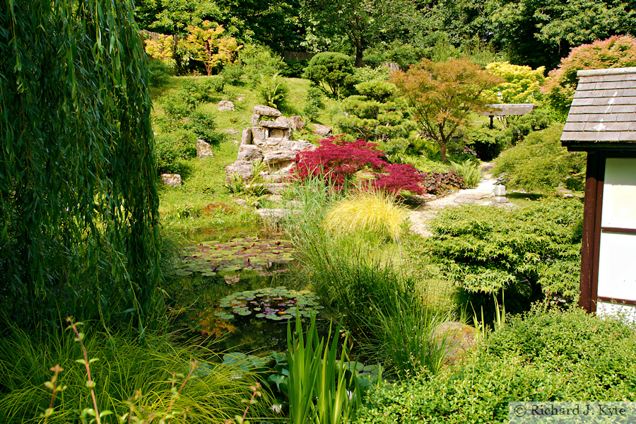 Japanese Garden, Kingston Lacy, Dorset