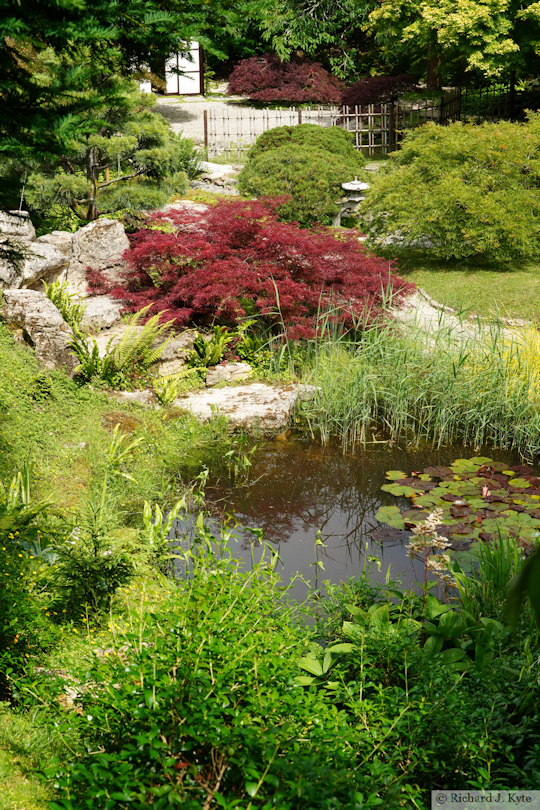 Japanese Garden, Kingston Lacy, Dorset