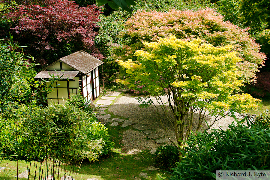Japanese Garden, Kingston Lacy, Dorset