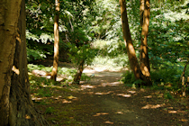 Click to see expanded image