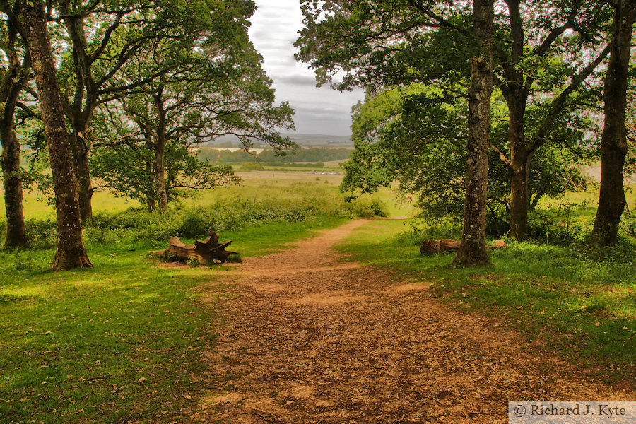 Badbury Rings, Dorset